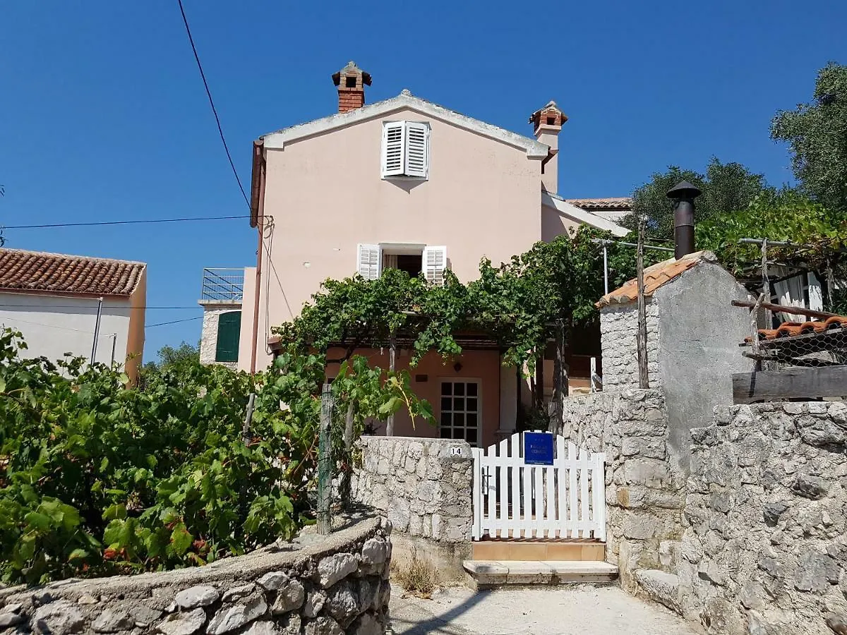House Mihaela Villa Miholascica